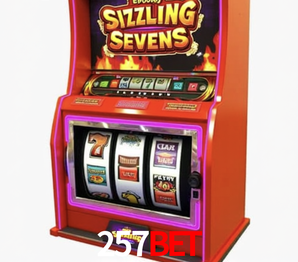 Security Systems 257bet
